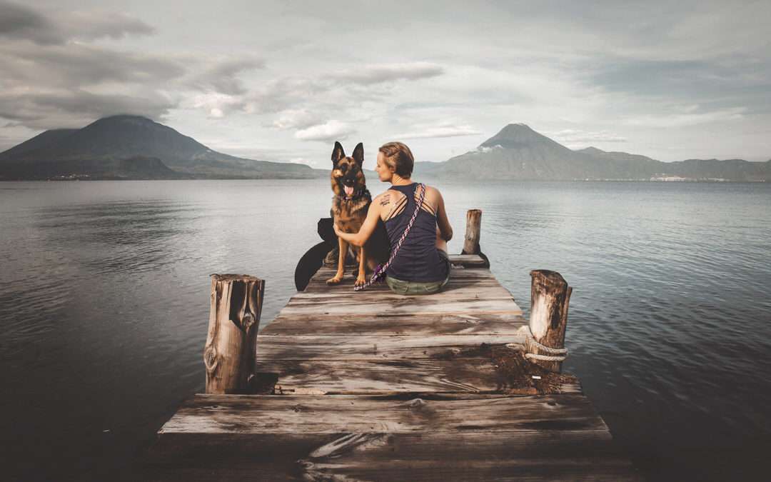 Outdoor Dog Gear that Is Runway Ready, Outdoor Tough, and Does Good