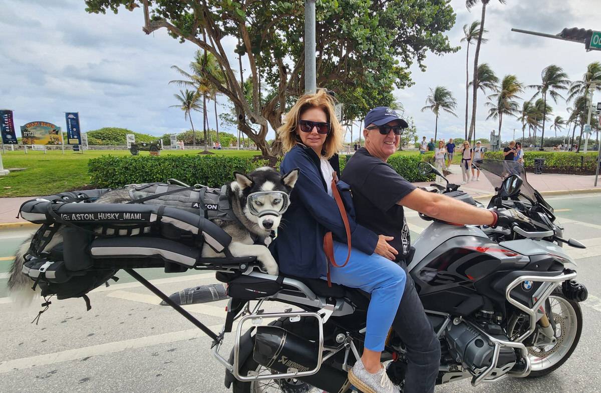 Rider and passenger on a motorcycle with a husky in a motorcycle dog carrier
