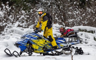 Riding a Snowmobile with Your Dog