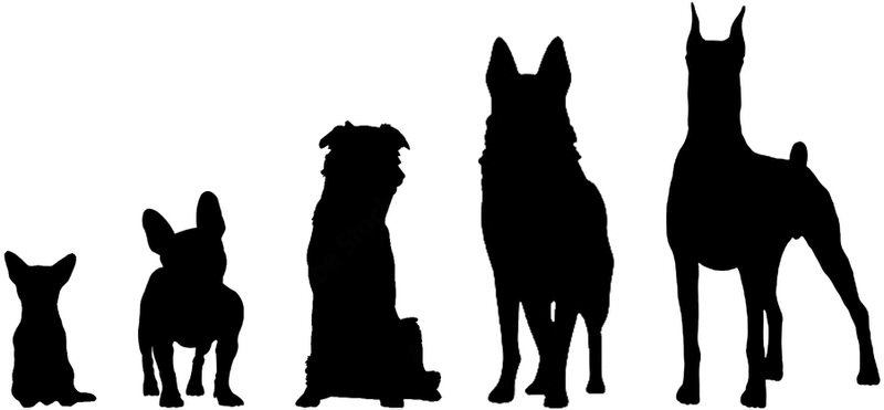 Dogs in 5 sizes