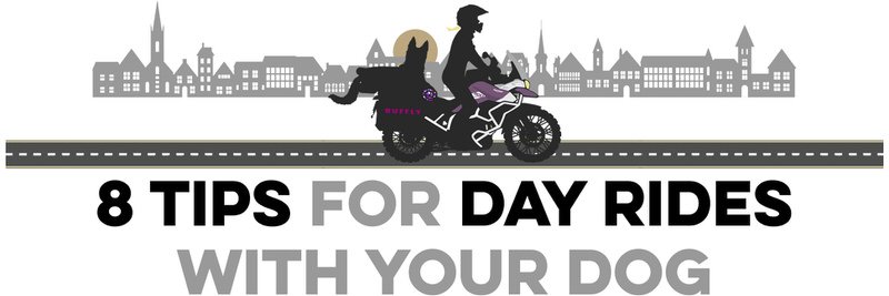 Vector image of woman riding an adventure motorcycle with a dog over a road with a town silhouette background