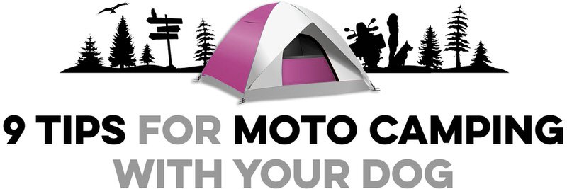 Vector of camping tent with forest, dog, motorcycle, and woman silhouette