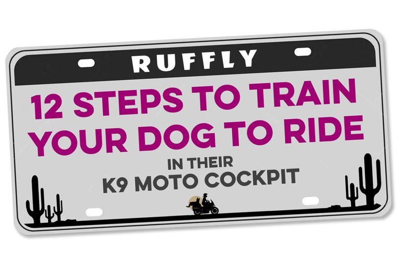 Step 1 – Training License plate that says "12 Steps to Train Your Dog to Ride