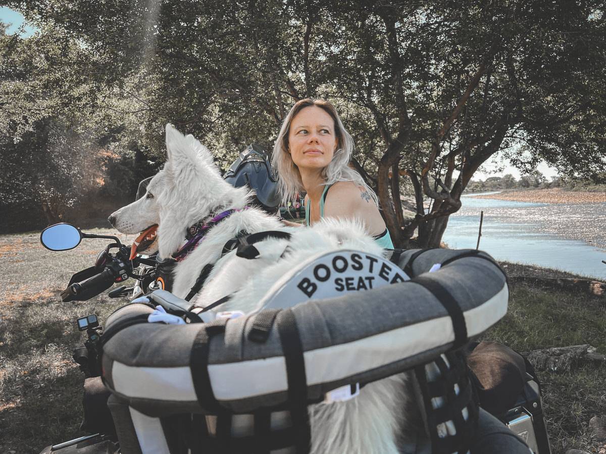Pretty blond woman with a white dog in a motorcycle dog carrier