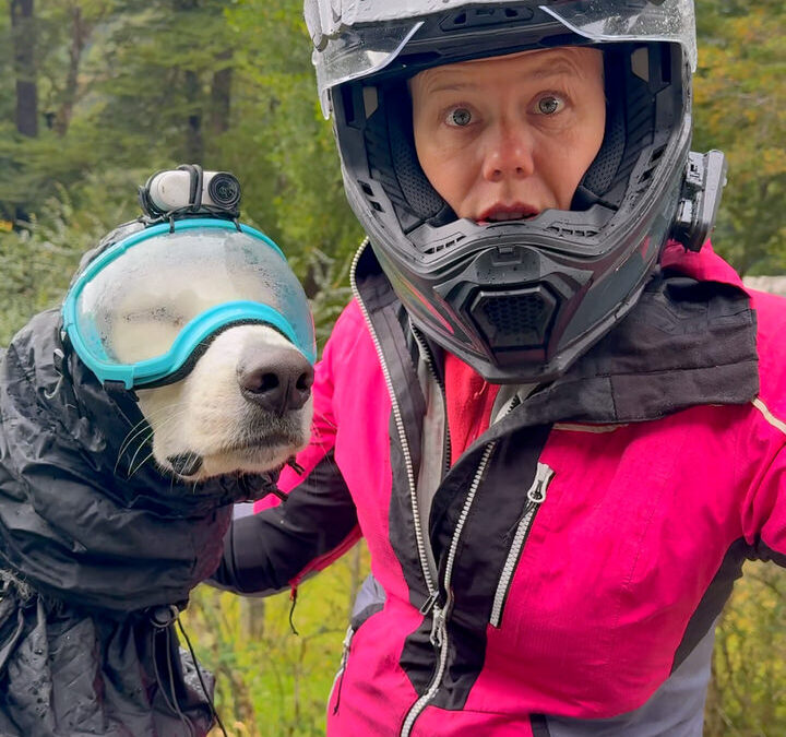 Surprised woman in motorcycle equipment with a white dog wearing a rain jacket