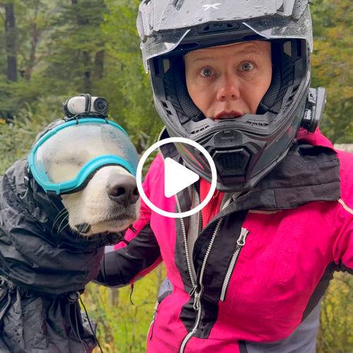 All-Weather Gear For My All-Weather Copilot