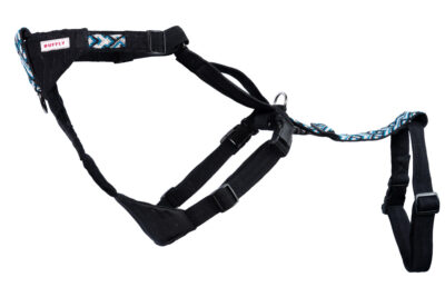 Motorcycle dog carrier riding harness in blue for large size dog