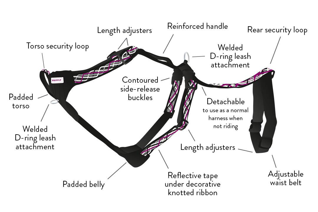 Artistic graphical diagram of motorcycle dog harness with text to highlight the key features