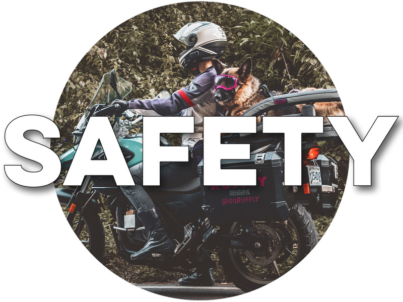 Play button over medallion of woman riding with German Shepherd laying down on the motorcycle with overlaid text "SAFETY"