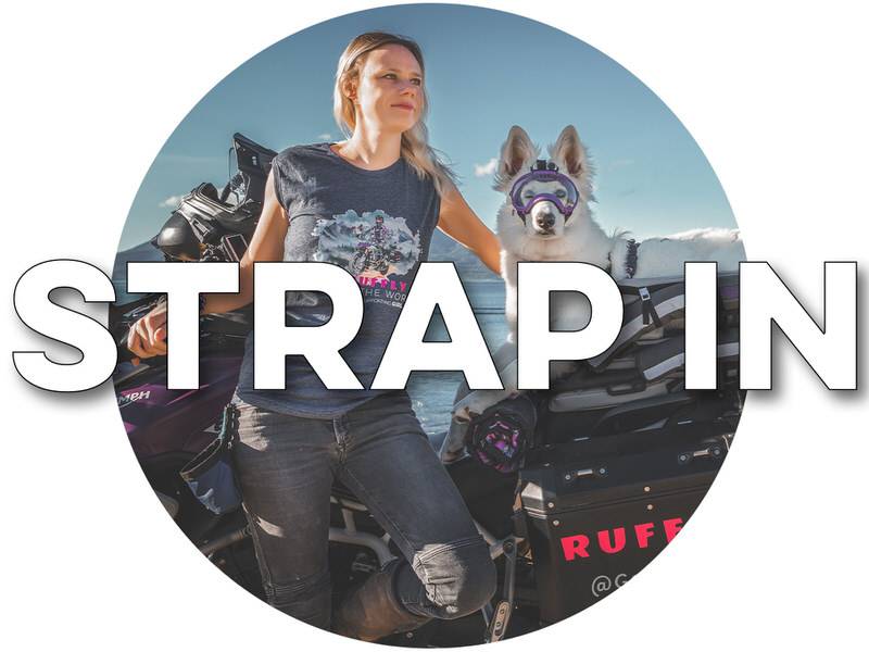 Play button over medallion of woman standing beside motorcycle with white shepherd in a motorcycle dog carrier with overlaid text "STRAP IN"
