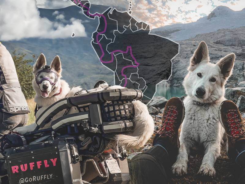 GoRUFFLY-Around-the-World-S05-Over-the-Andes-headliner-4x3-800p Image of woman riding a motorcycle with a big white dog that merges into woman sitting at campsite with dog