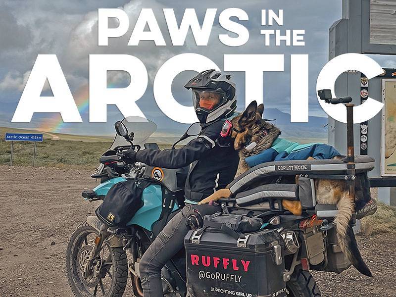 HEADER PHONE 2·56x1 20210607 Woman on an adventure motorcycle with a German shepherd rides towards the Arctic Ocean with a rainbow