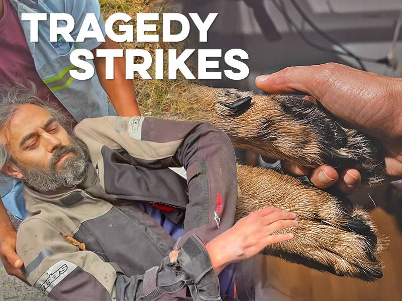 HEADER PHONE 2·56x1 20210607 Man is injured in motorcycle accident beside damaged motorcycle and paws of dog that passed away