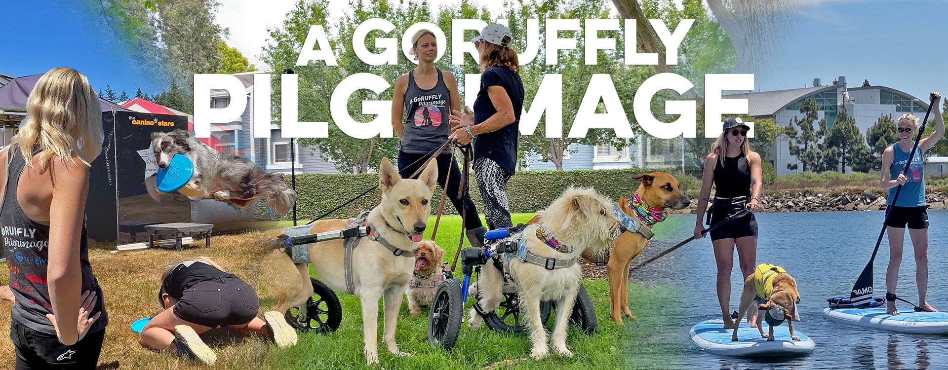 TEMP Motos and Figures Scenes of dog agility stunts, standup paddle boarding, and canine prosthetics
