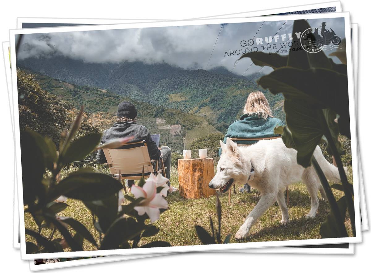 Man and woman sit with scenic mountain view with laptops and coffee and white shepherd