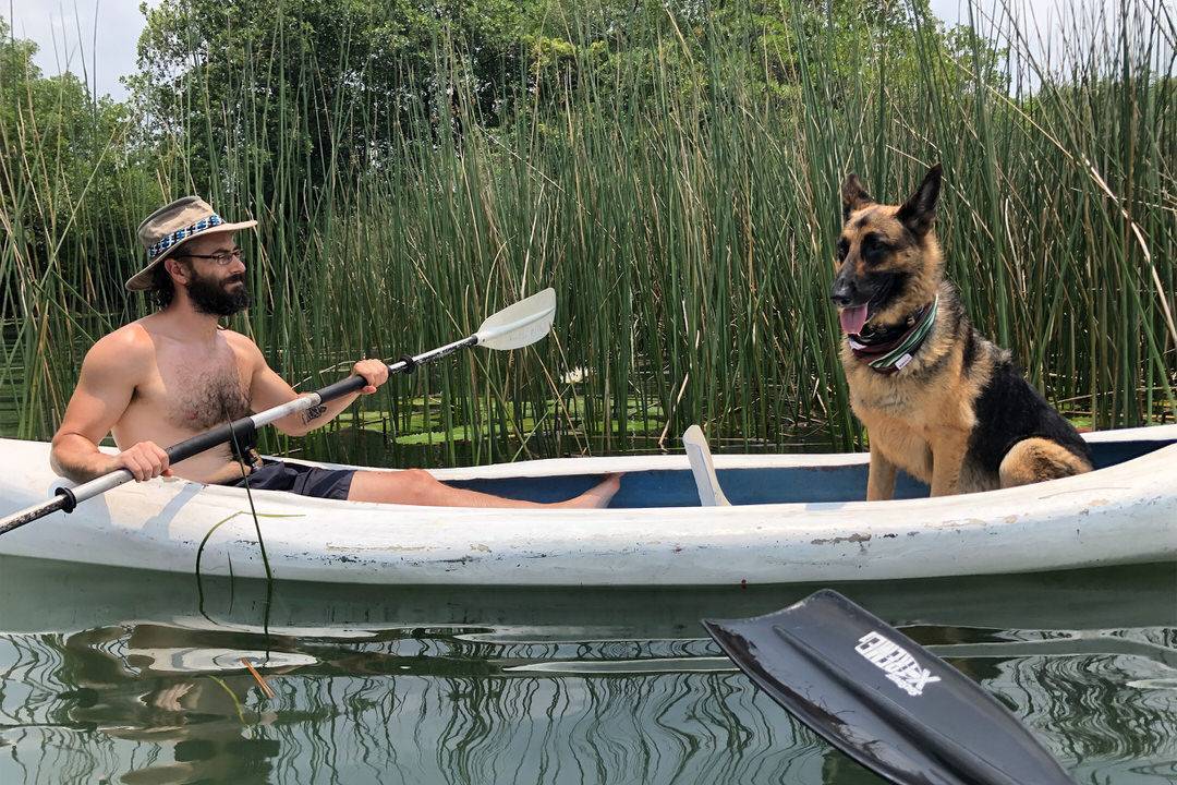 Shirtless man paddles kayak with German shepherd passenger