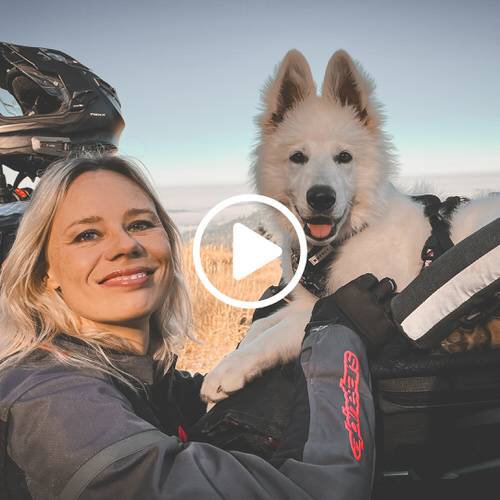 How to Fit Your Puppy in Their K9 Moto Cockpit