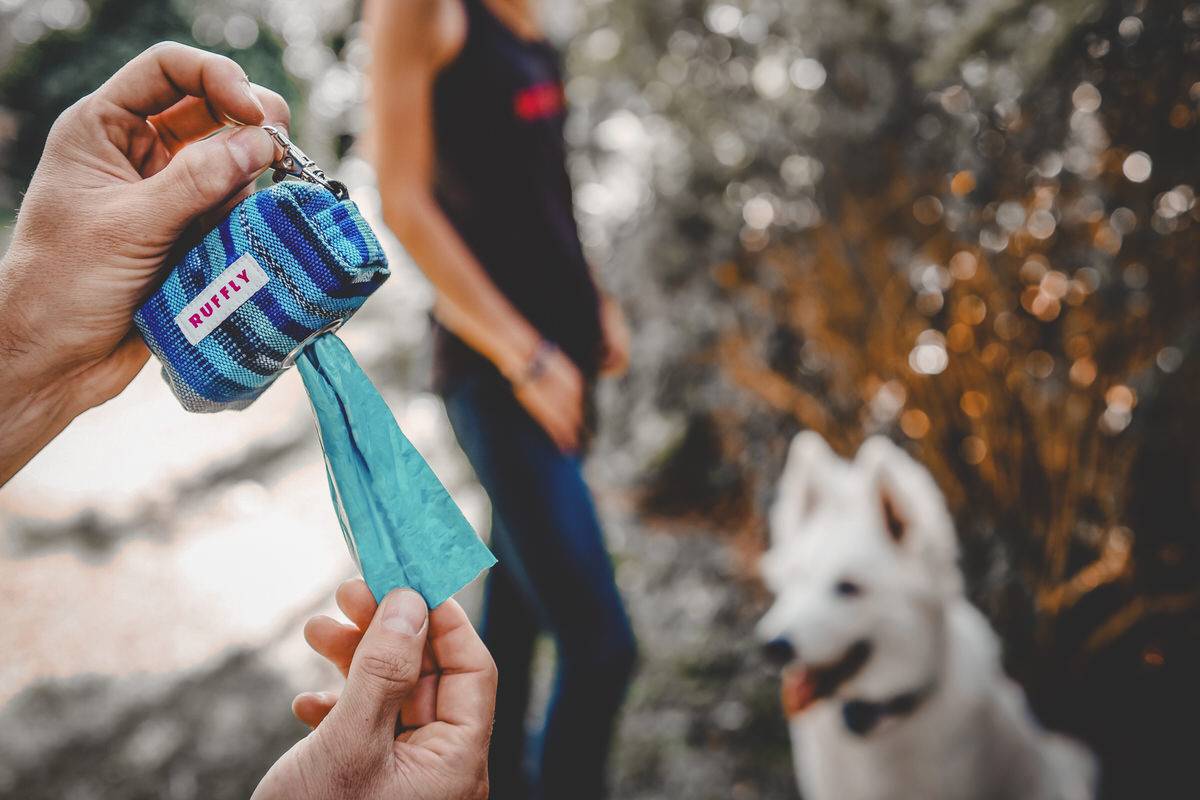 Man extracts poop bag from holder with woman and white dog in the back