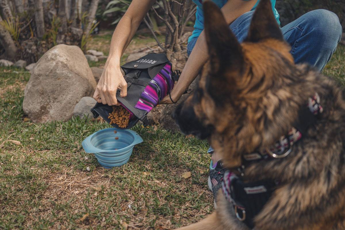 German Shepherd watches woman pour dog food from beautiful artisan bag