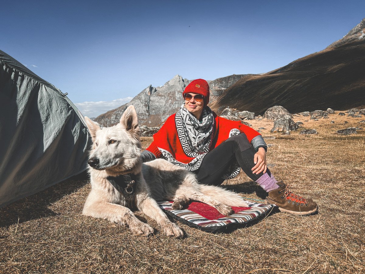 Rest Those Tender Paws Smiling woman sits on dog bed beside white shepherd in craftsman harness