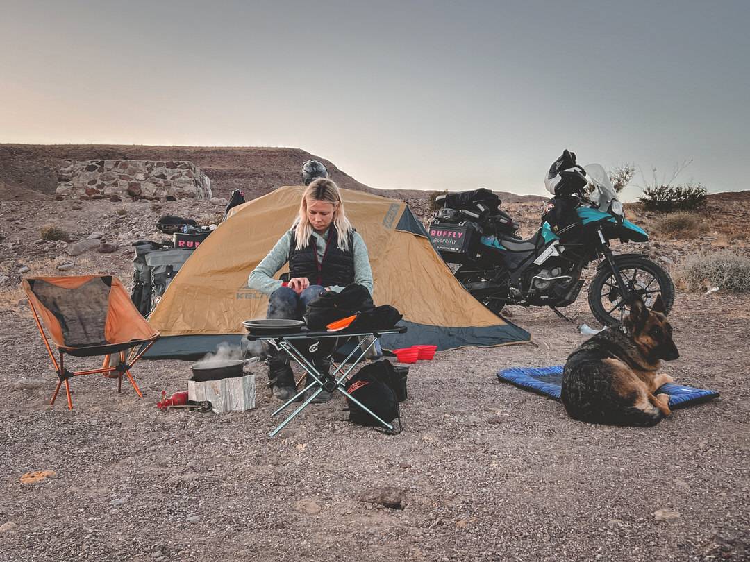German shepherd on dog travel bed with woman a campsite