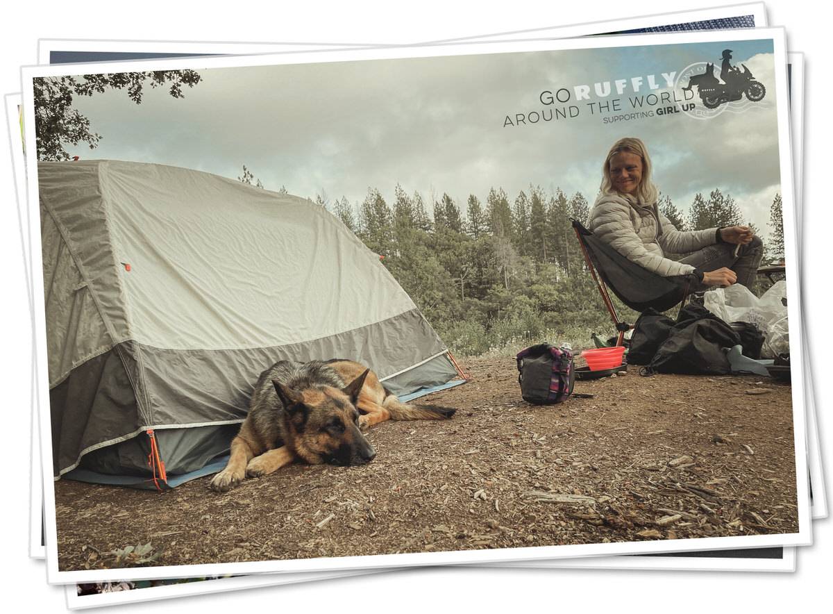 Postcard of a woman looking back at her dog who sleeps beside a camping tent in the forest