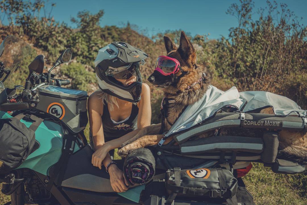 Woman with helmet and dog with goggles