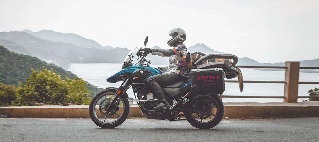 Woman rides fast past lake and mountains with German shepherd in a motorcycle dog carrier
