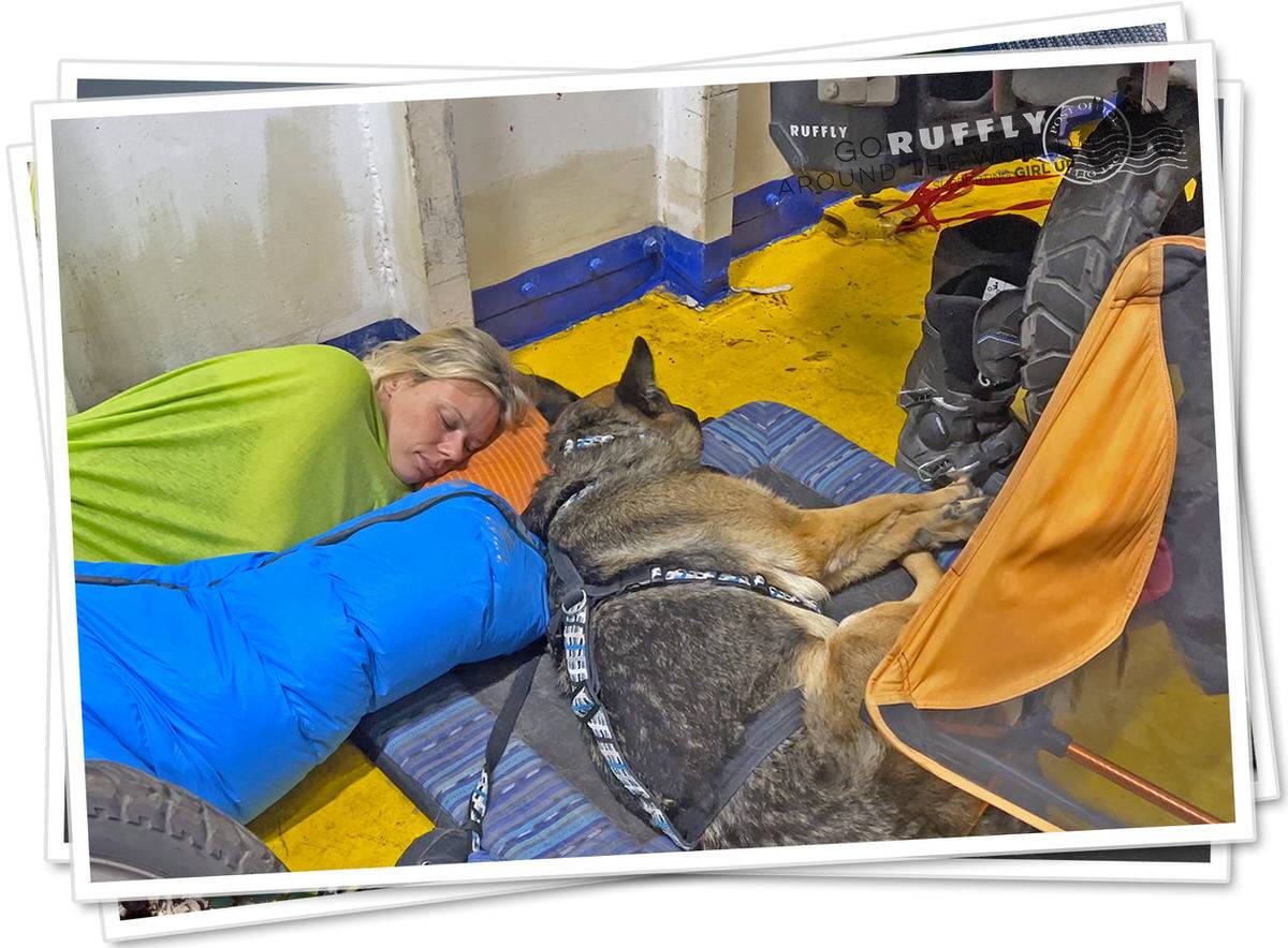 Postcard of a German Shepherd sleeping on a travel bed beside a blonde woman on a ship's deck