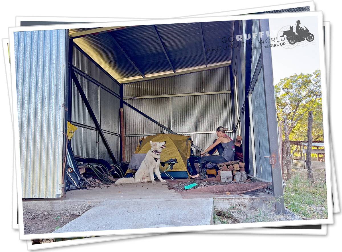 Postcard of a woman and a dog camping inside of a grain silo
