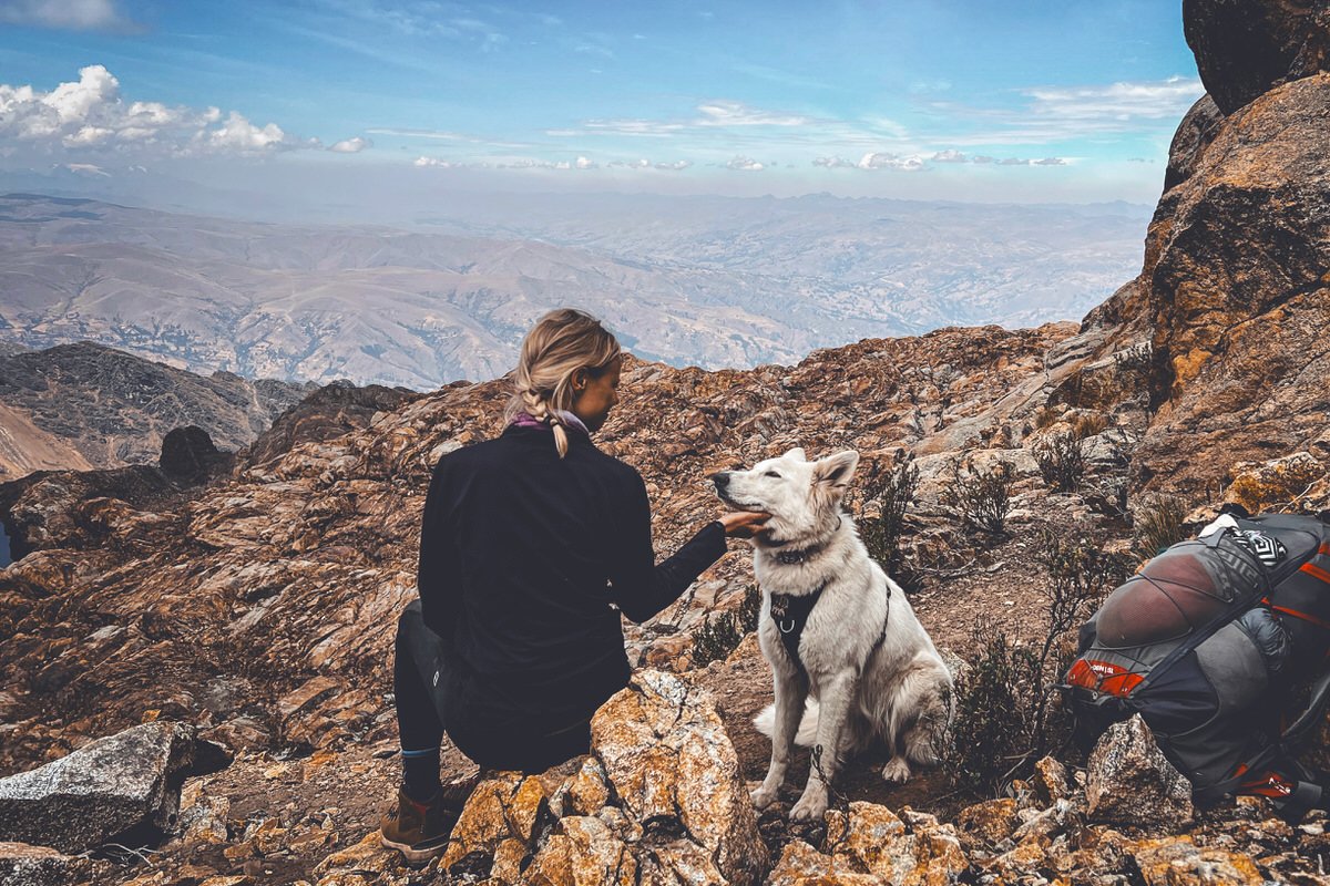 Slows Things Down Woman sits on a rock beside a white shepherd dog at a high mountain pass