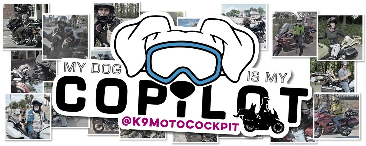 My Dog Is My Copilot Collage of motorcycle riders with dog and sticker over it that says "My dog is my copilot"