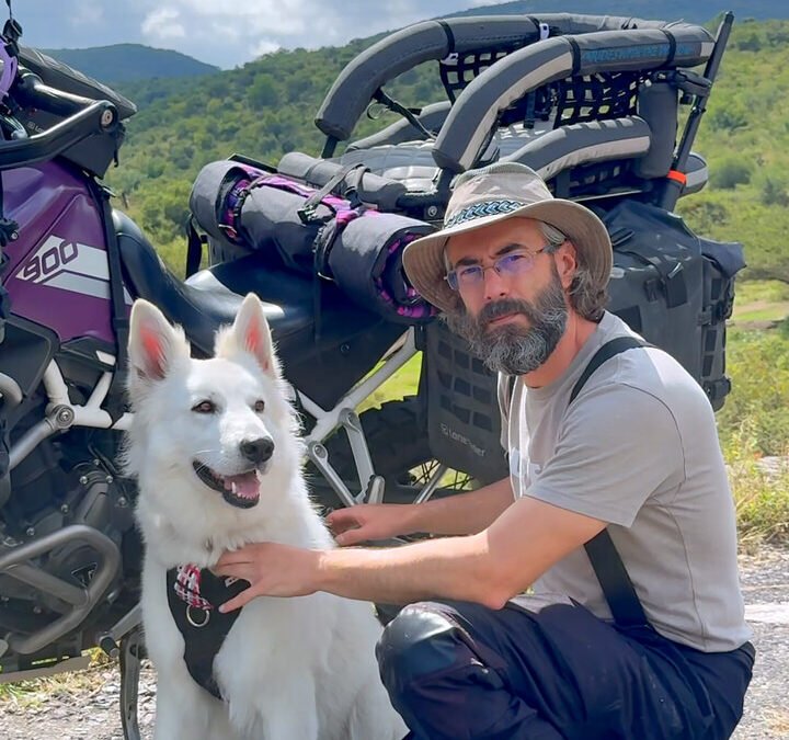 Man kneels beside motorcycle and white shepherd dog wearing harness