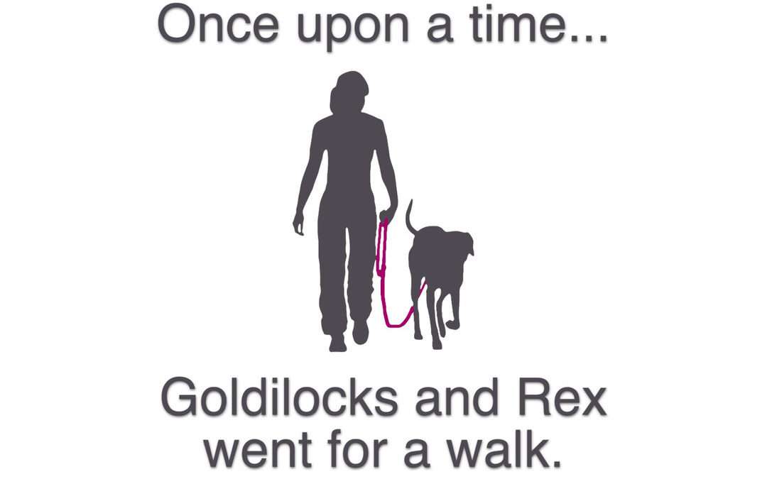 Silhouette of woman and dog with text: “Once upon a time…Goldilocks and Rex went for a walk.”