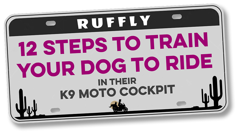 License plate that says "12 Steps to Train Your Dog to Ride"