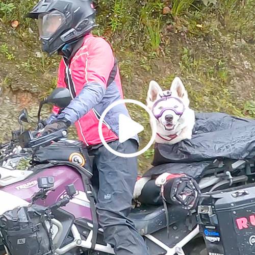 Riding in the Rain Near La Plata, Colombia