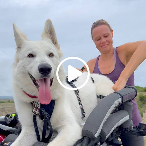 Riding with Whimsy Makes Every Day Extraordinary
