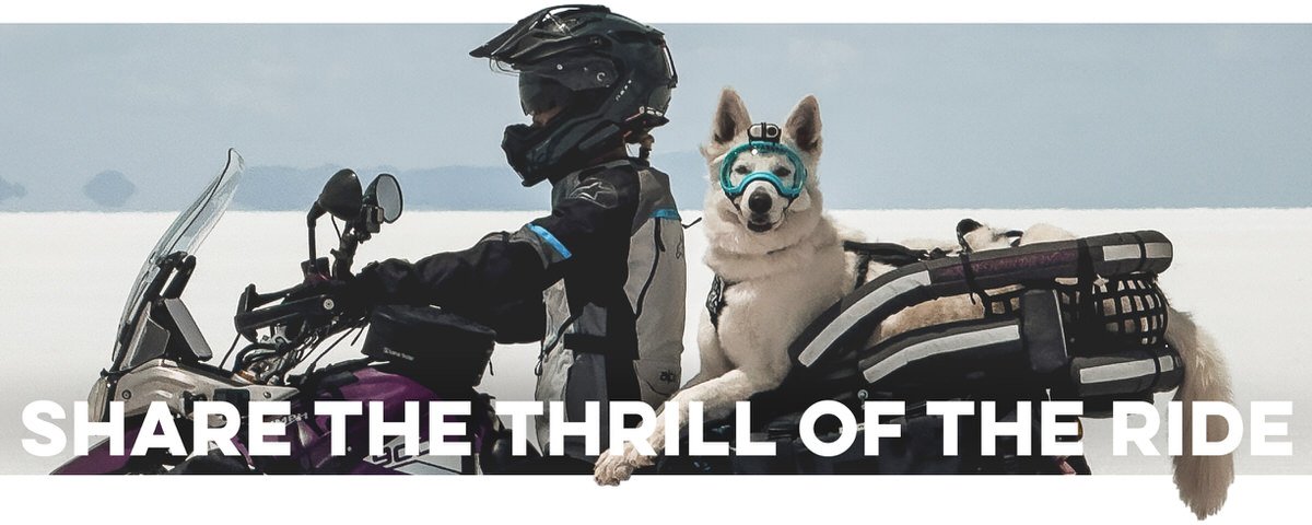 Woman and white dog ride motorcycle on white salt flats with overlaid text "Share the Thrill of the Ride"