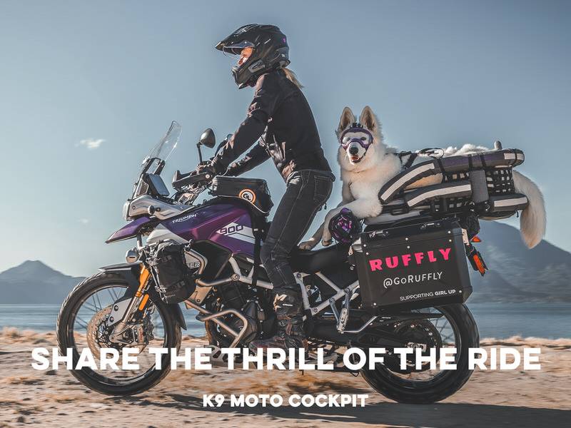 HEADER PHONE 2·56x1 20210607 Woman stands while riding an adventure motorcycle off-road with a white shepherd dog on the back