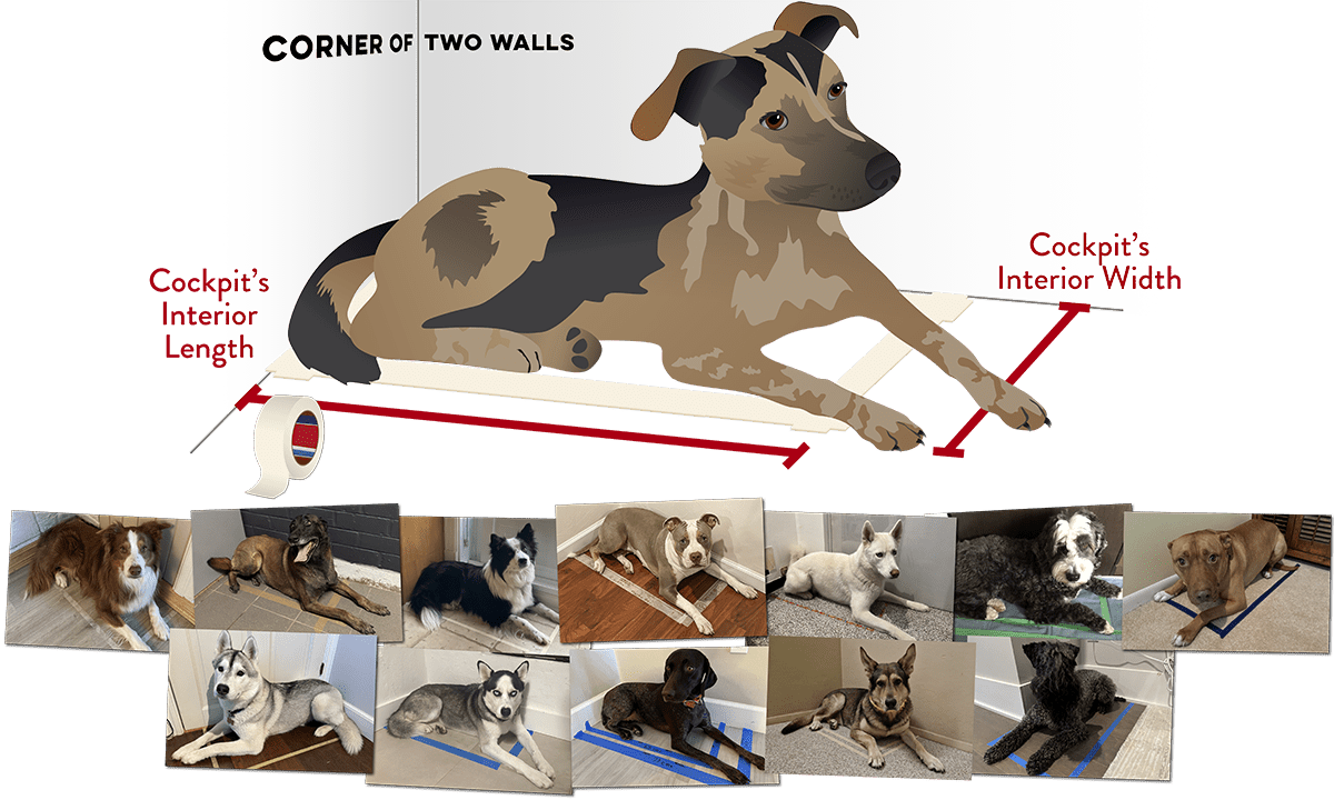 Vectorized diagram of a tape outline against wall around a laying dog with measurement instructions with user photos
