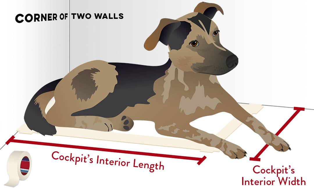 Simple artistic diagram of a dog laying against the wall within a tape outline