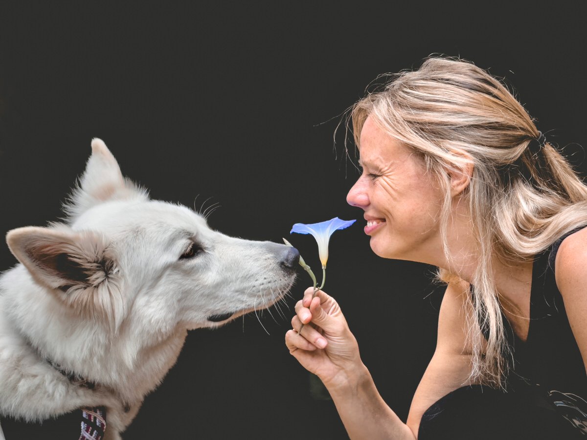 The Contributions We Make Closeup of a blond woman and her white dog sniffing a violent flower together