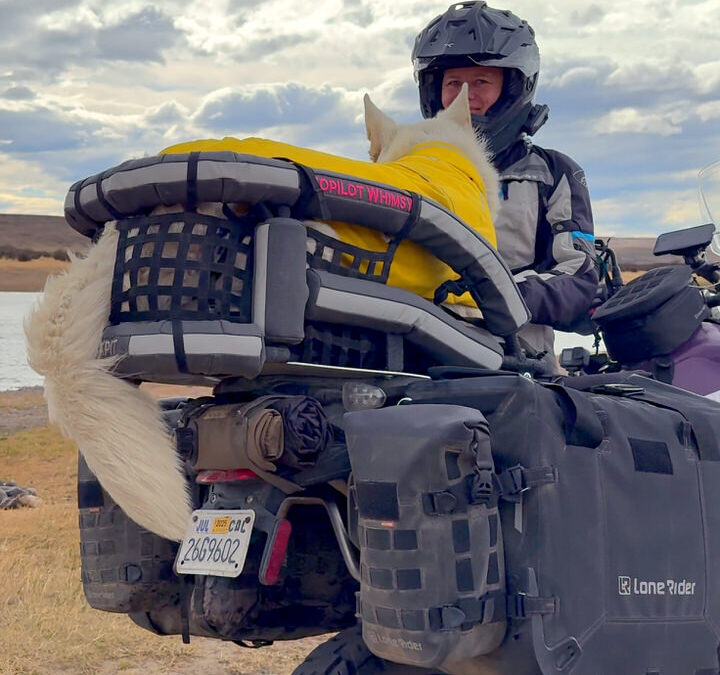 Woman straps white dog into motorcycle dog carrier in cold, stormy weather