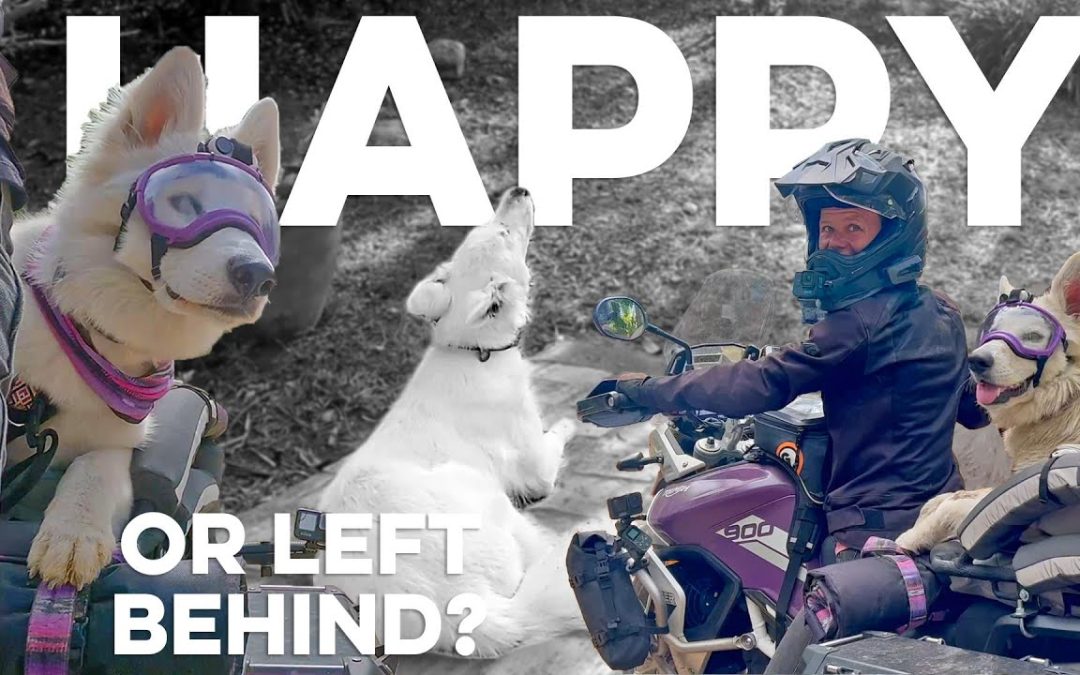 Happiness or Left at Home