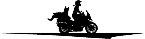 Silhouette of woman and dog riding a motorcycle together
