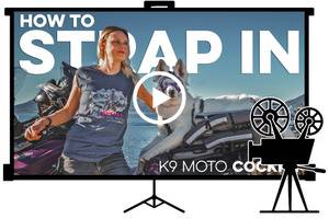 Choose-Your-Build-Plan-A-Step-01 Cartoon of projector and projector screen showing how to strap dog into motorcycle carrier
