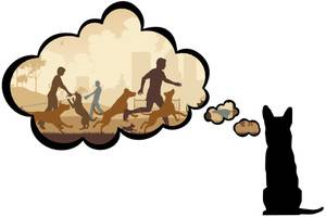 small dog plan 2 Cartoon of dog dreaming of dog park